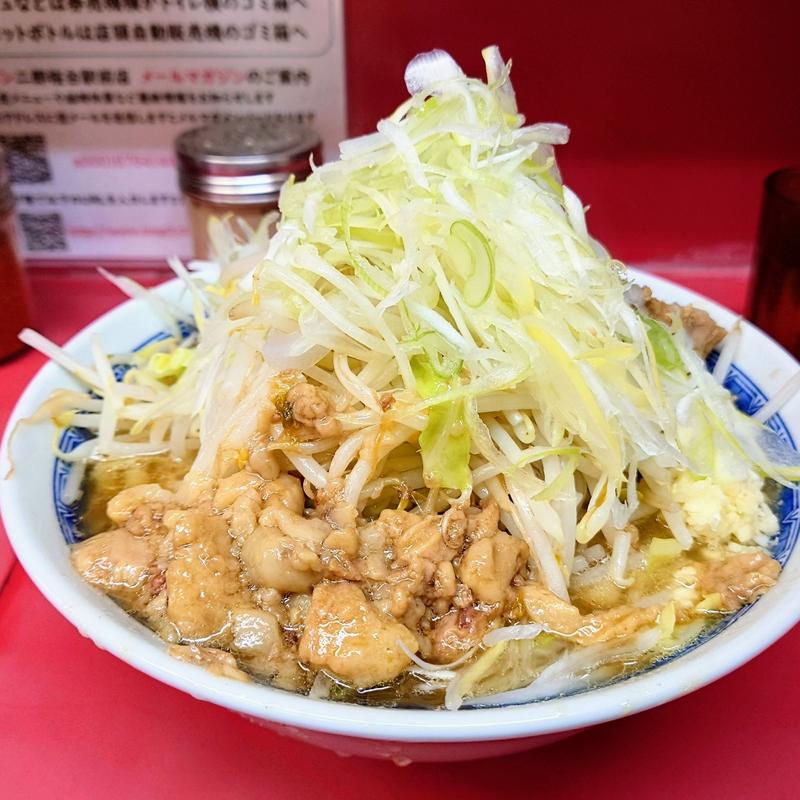 小ラーメン ネギ(ラーメン二郎 桜台駅前店 （らーめんじろう）)