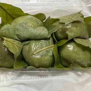 浩徳の柏だんご(浩徳)