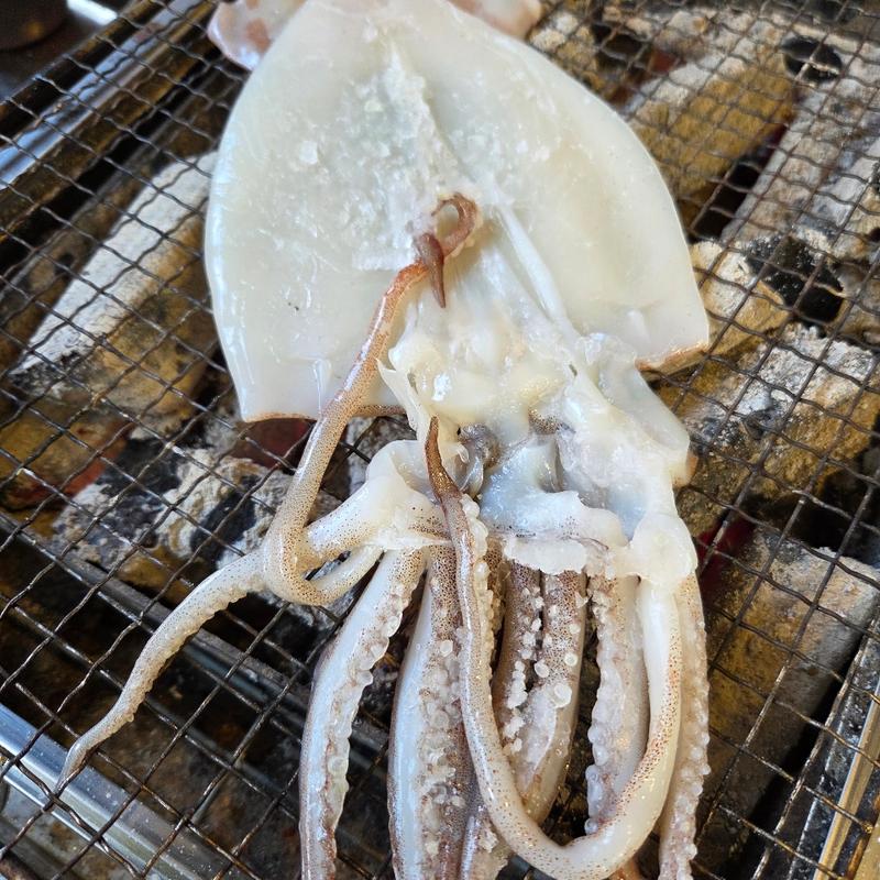 いかの一夜干し(みるくがき豊久丸)