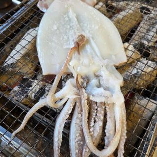 いかの一夜干し