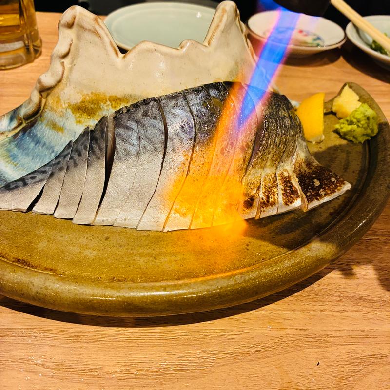 (ニューサカナヤキオ)