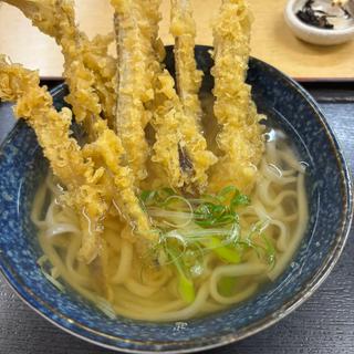 ごぼう天うどん(手打ちうどん・そば 鶴や本家)