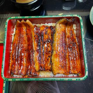 うな重特上(江戸川 石ばし)