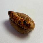 ソーセージドッグ