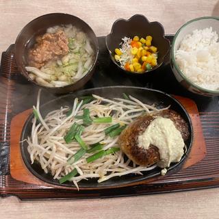 ハンバーグセット 子うどんサラダセット(武州うどんあかね&みどりダイニング)