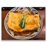 だし玉肉づつみうどん 並