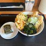 Aセット+特製かき揚げ(なすび)