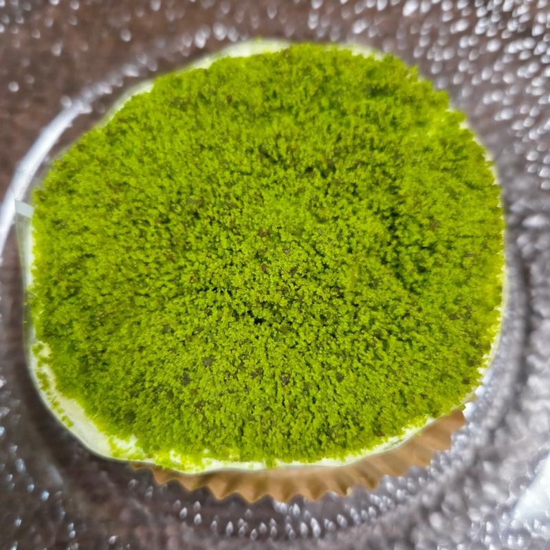 濃厚抹茶ティラミス(スターバックスコーヒー 高槻阪急スクエア店)