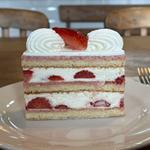 シャンティフレーズ