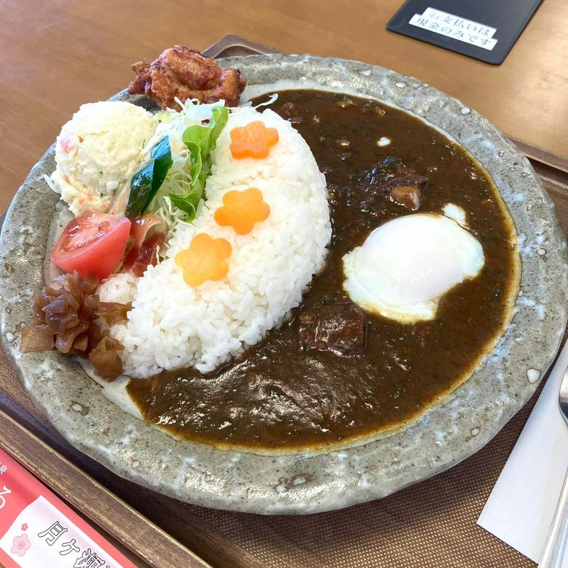 高山ダムカレー(梅こころ )