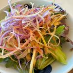 黒酢ランチコース（自社菜園の有機野菜オニオンドレッシング）