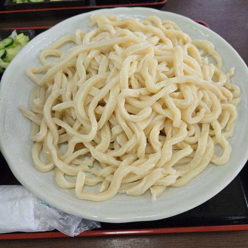 手打ちうどん【650g】(肉汁うどん 森製麺所 )
