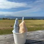 ジェラードハーフ&ハーフ(ミルミル本舗 本店)