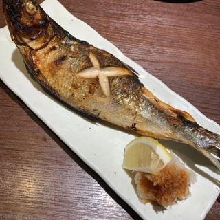 にしん塩焼き