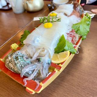 イカ活き造り(ヤリイカ)