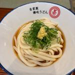 かけうどん