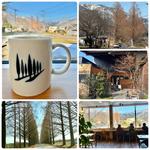 本日のコーヒー