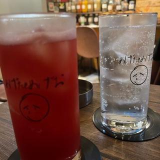 トマトサワー(めげたとめげお)