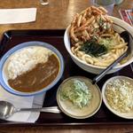 ミニカレー丼朝定食　かき揚げ天ぷら