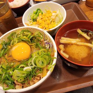 ネギたま牛丼ライト(サラダセット)(すき家 西台駅西)