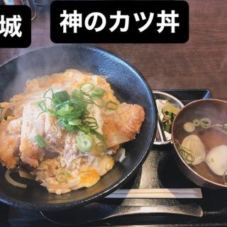 神のかつ丼