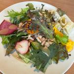 サラダ(シャレード （CHARADE）)