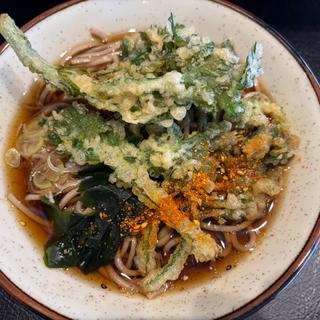 春菊天蕎麦