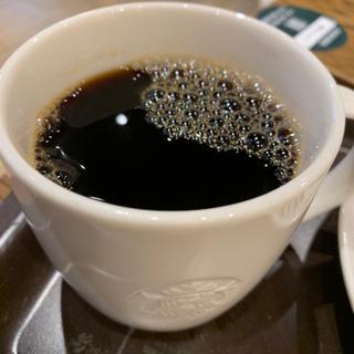ブリュードコーヒーS