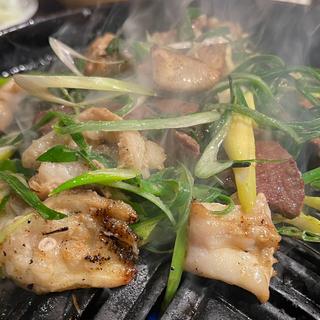 塩ホルモンセット(在市)