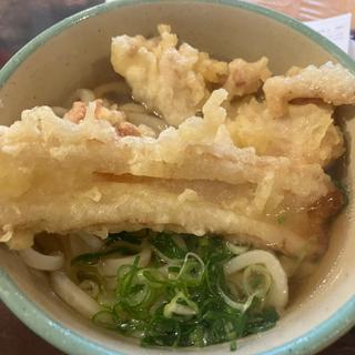 とり天ちくわ天うどん