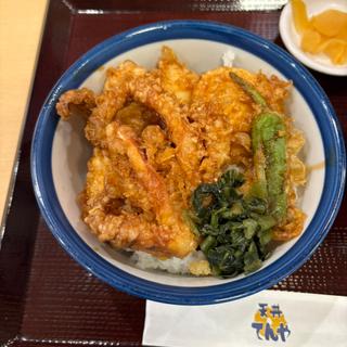 たれづけいかづくし天丼(天丼てんや ビーンズ赤羽店)