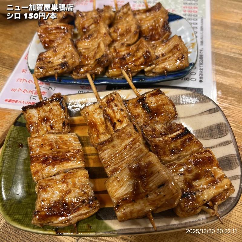 シロ(ニュー加賀屋巣鴨店)