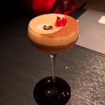 (スカイバー リオンドール )