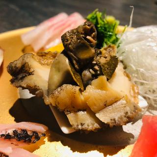 蒸しあわび_冬のお造り盛り合わせ(一献 すだち)