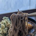 かき揚げそば（冷）春菊天トッピング