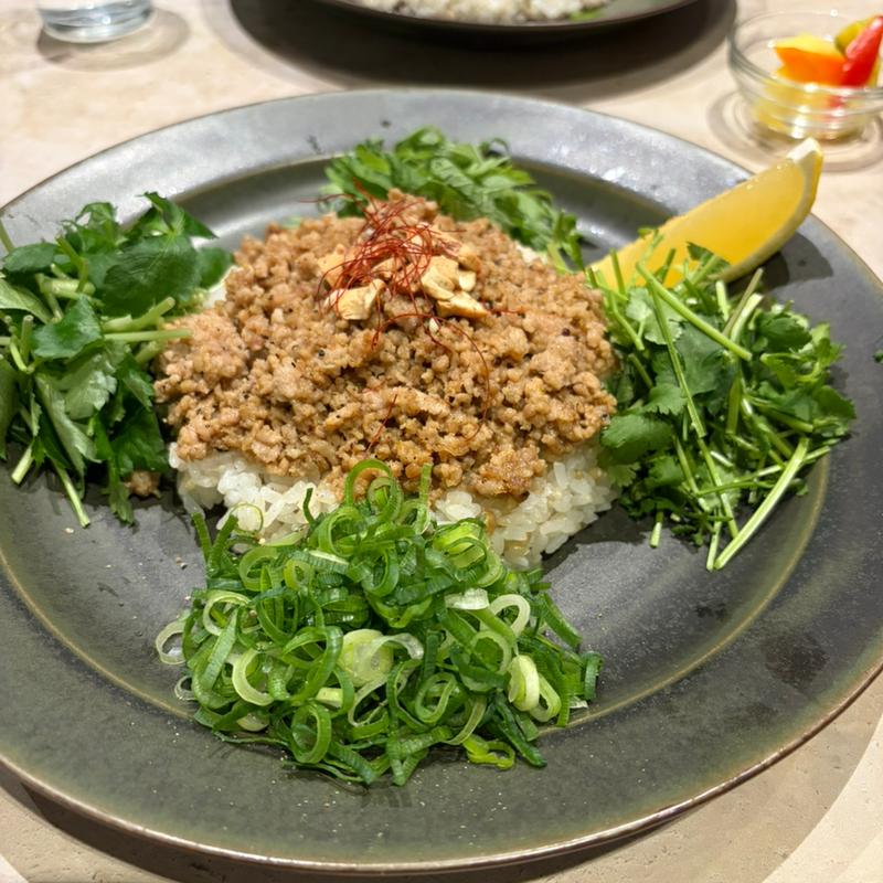 エスニックそぼろカリー(オクシロモン二子玉川)