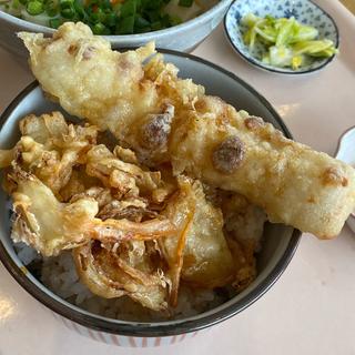 ミニ天丼(釜揚げうどん　白粉屋 （しらこなや）)