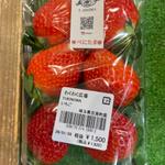 べにたま　いちご