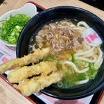 肉ごぼ天3本うどん ネギどっさり別皿