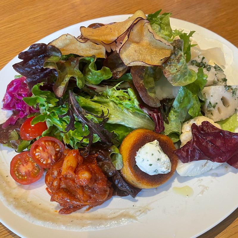 ニューライトサラダ(New light)