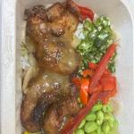 ネギ塩竜田揚げ、たけのこと蓮根のまぜご飯