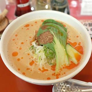 發巳担々麺 痺れ増し(担々麺専門店 發巳 藤枝店)