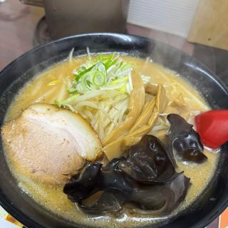 味噌ラーメン　キクラゲトッピング