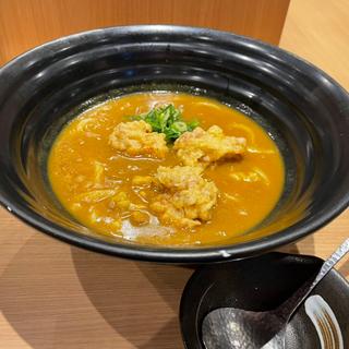 鶏天カレーうどん(山水草木)