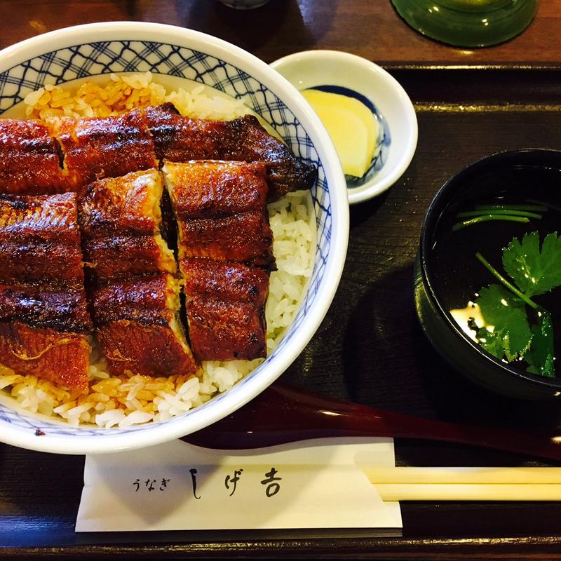 うなぎ丼並(しげ吉 （しげよし）)