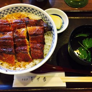 うなぎ丼並(しげ吉 （しげよし）)