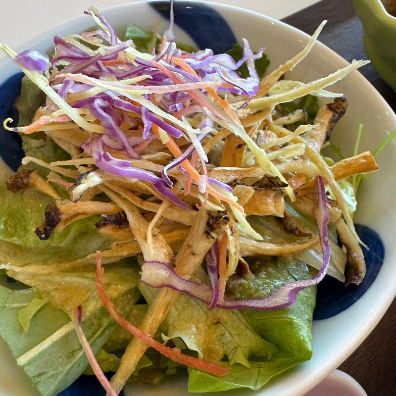 ランチコース（自社菜園の有機野菜オニオンドレッシング）(黒酢の郷 桷志田)