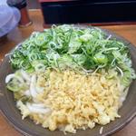 素うどん