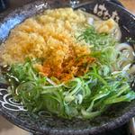 かけ（小）(はなまるうどん 滋賀東草津店 )