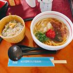 梅おろしうどんとしらす丼